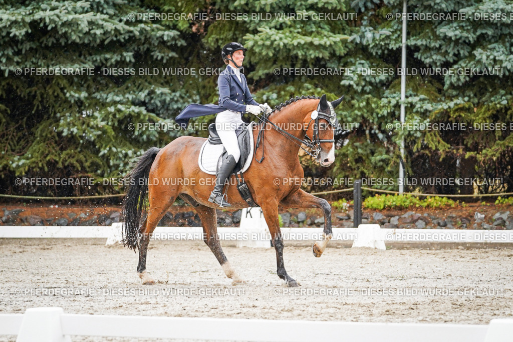 DSC08682 | Pferdegrafie