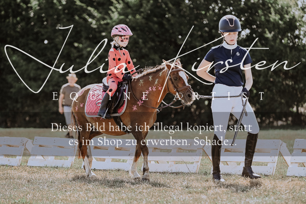 DSC_8891 | Pferde- und Turnierfotografie in Westsachsen. Pferdeportraits, Auftragszeichnungen und intuitive Kunst.