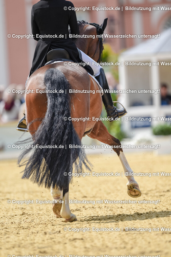 20250607_1_GP-Tour_Dressage_0167 | Foto: Thomas Hartig