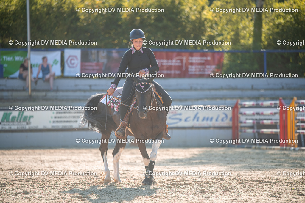 EWP_7106 | dv-media-shop - Realisiert mit Pictrs.com