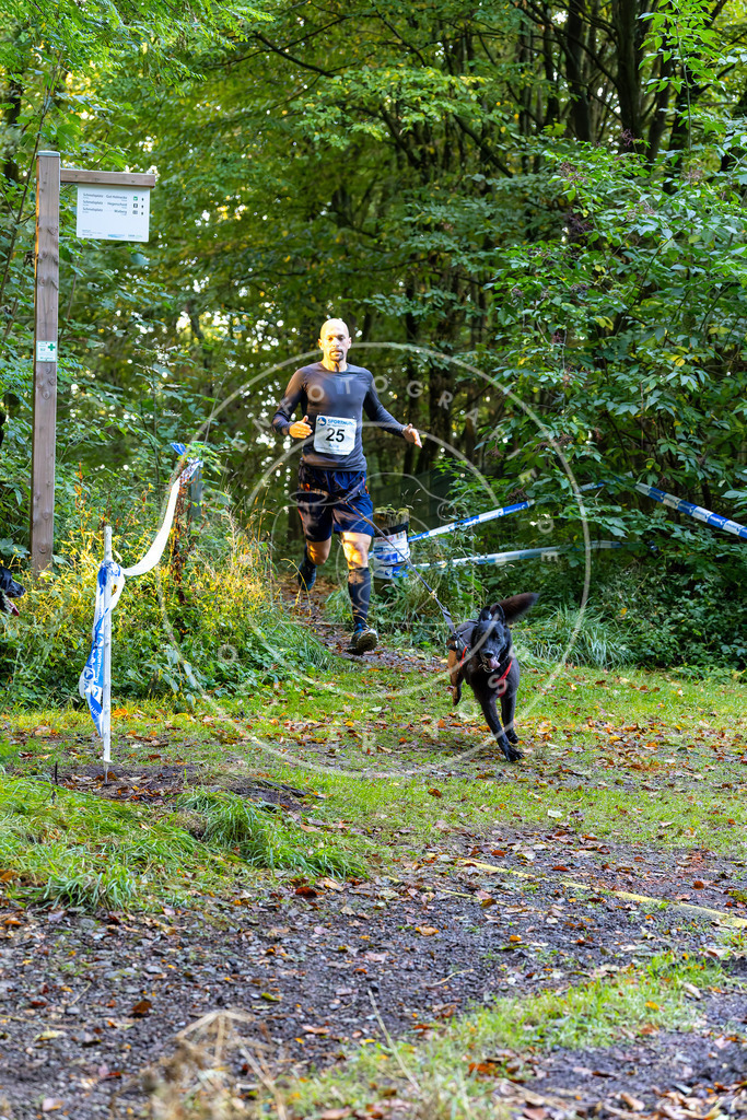 Pfotenfotografie_DV3A6554 | Hundefotografie, Tierfotograf, Pfotenfotografie, Fotoshooting Hund, Hunde Portrait, Hundesport, Hundeportraits, Heideshooting, Hunde, Sportfotograf, Hundefotograf, Turnierhundsport, THS,  - Realisiert mit Pictrs.com