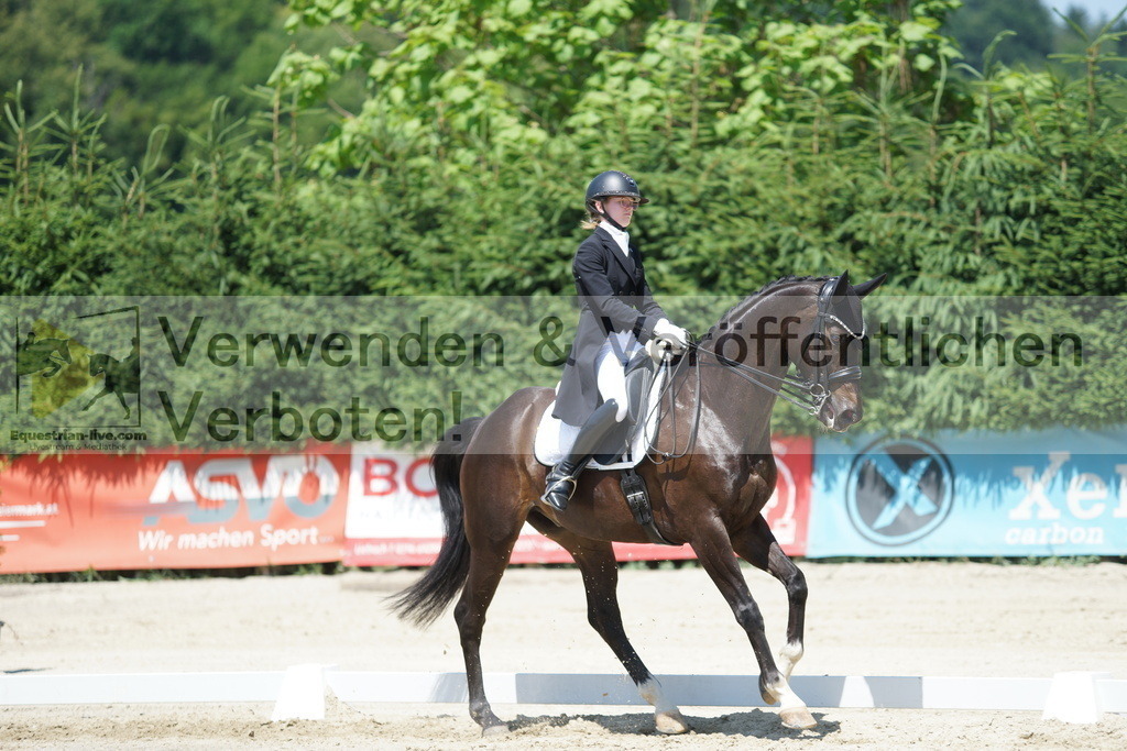 DSC03255 | equestrian-live-com