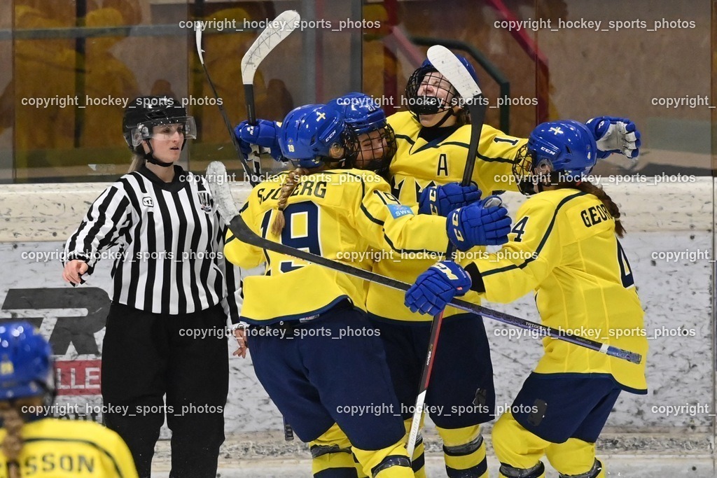 BST_4371 | hockey sports photos, Pressefotos, Sportfotos, hockey247, win 2day icehockeyleague, Handball Austria, Floorball Austria, ÖVV, Kärntner Eishockeyverband, KEHV, KFV, Kärntner Fussballverband, Österreichischer Volleyballverband, Alps Hockey League, ÖFB, 