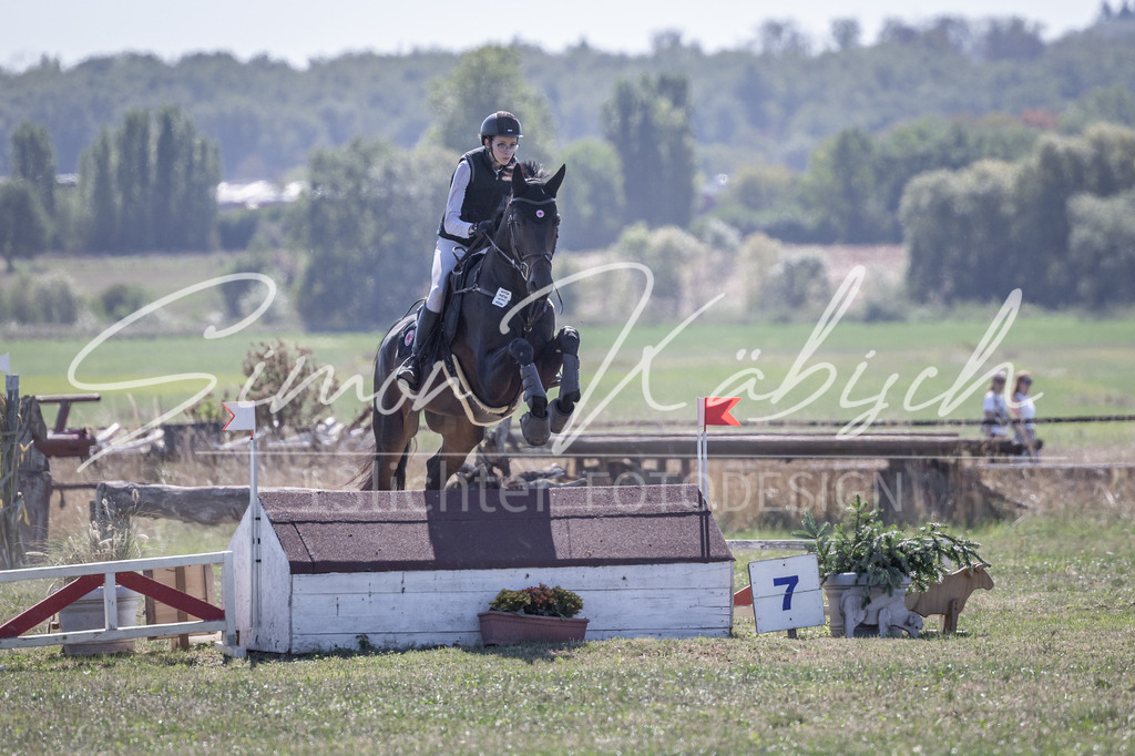 20260906-_3LI3106 | Tierfotografie Pferde, Hunde, Katzen, Haustiere.
Turnierfotografie Reitturniere, Reiten, Springreiten, Dressur in Hanau, dem Main-Kinzig-Kreis und dem Rhein-Main- Gebiet um Frankfurt