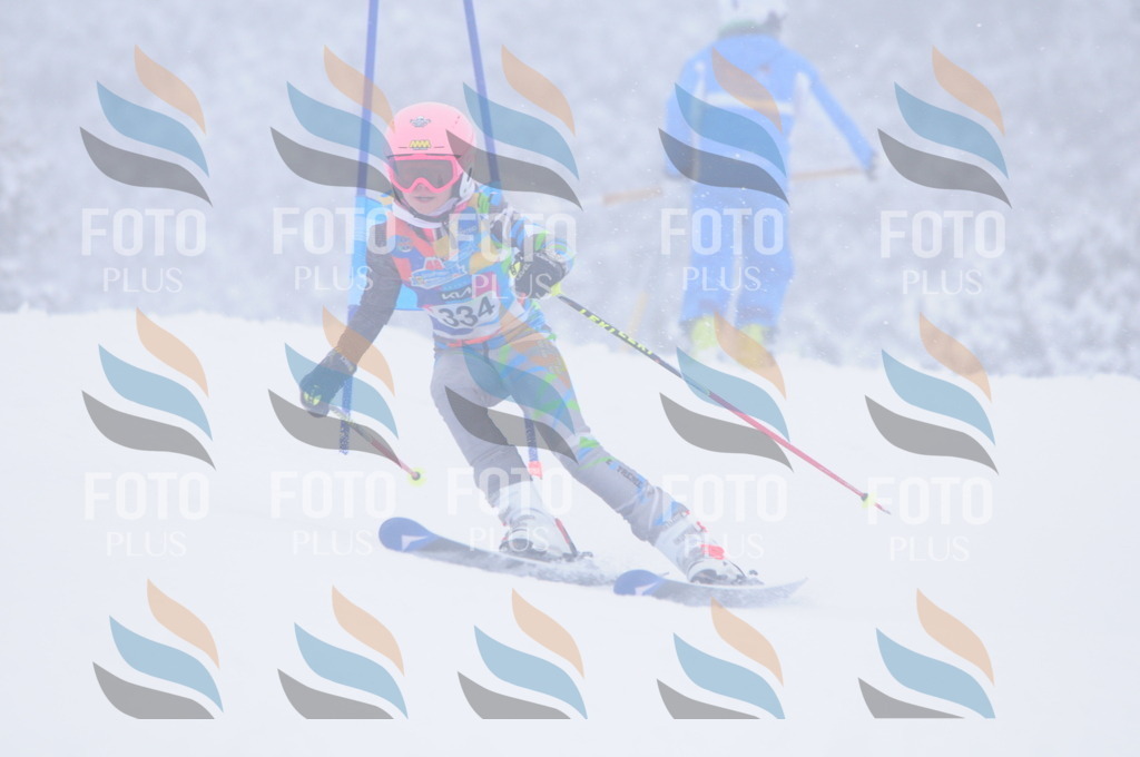 C3574 | holidayphoto