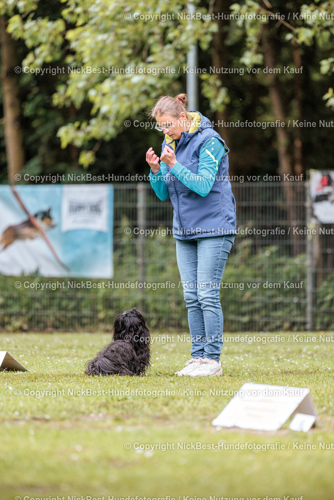 RO-Blumenthal-2026-Nickbest-Hundefotografie-0874 | Dein Hund! Dein Moment! Deine Erinnerungen! Hundefotografie in Bremen Blumenthal. Ich fange die besonderen Momente deines Vierbeiners ein – ob Indoor mit Blitzanlage oder in der freien Natur. Sicher dir dein Moment und dein Termin für eure Erinnerungen.
