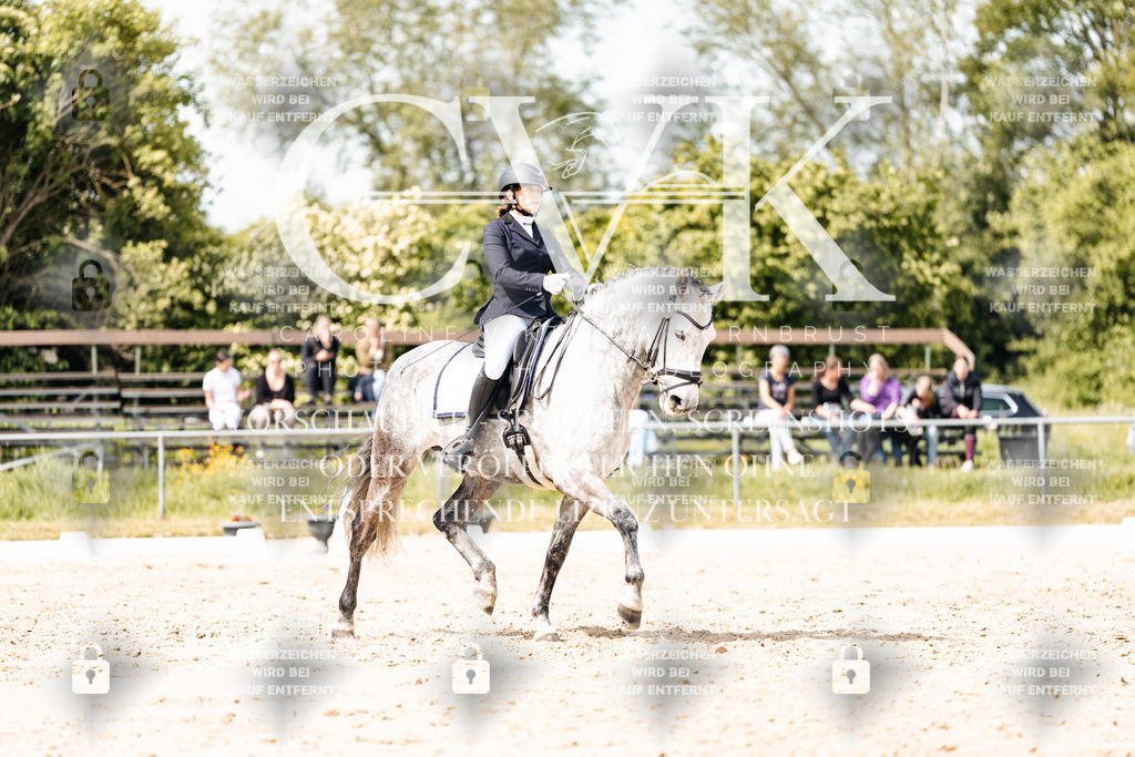 CK901587 | Turnierfotografie Pferdefotografie Trier Rheinland-Pfalz Pferdesport Reitsport Tierfotografie Sportfotografie Pferdevideo Pferdevideografie Equestrianvideography equestrianphotography  - Realisiert mit Pictrs.com