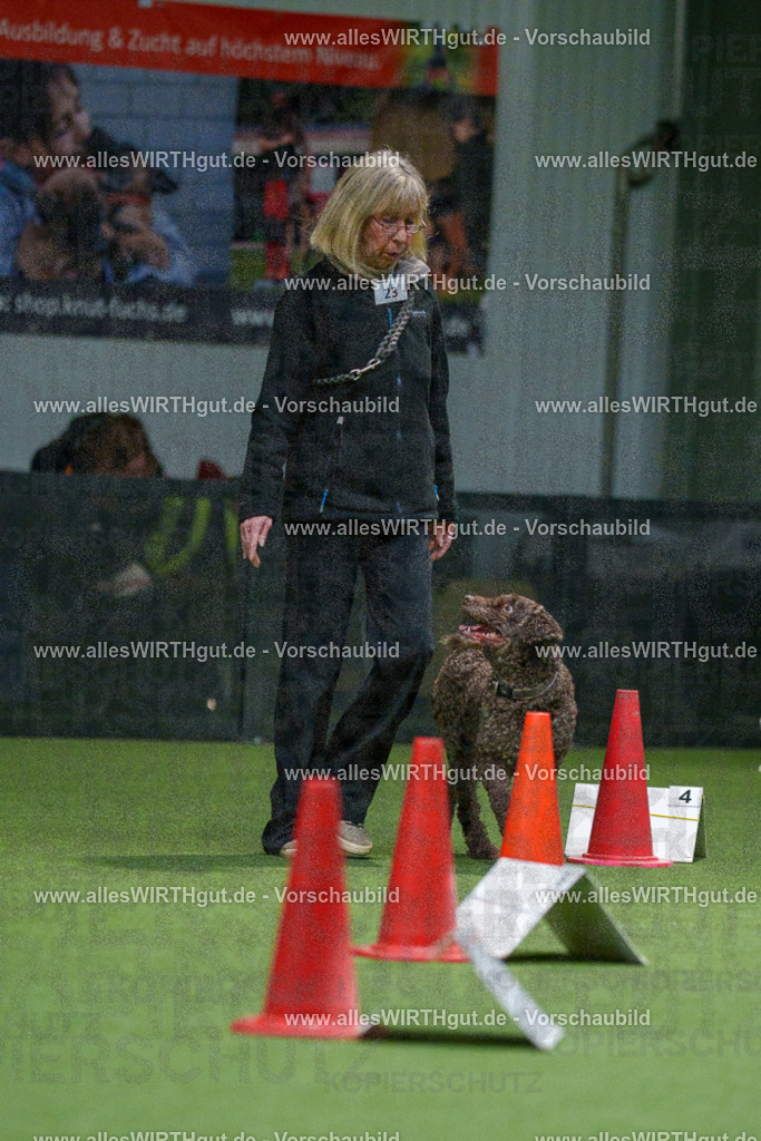 7R504890 | Professionelle Tierfotografie in Mönchengladbach von Daniel Wirth (allesWIRTHgut). Liebevolle & natürliche Bilder von Hunden & Katzen für unvergessliche Erinnerungen.