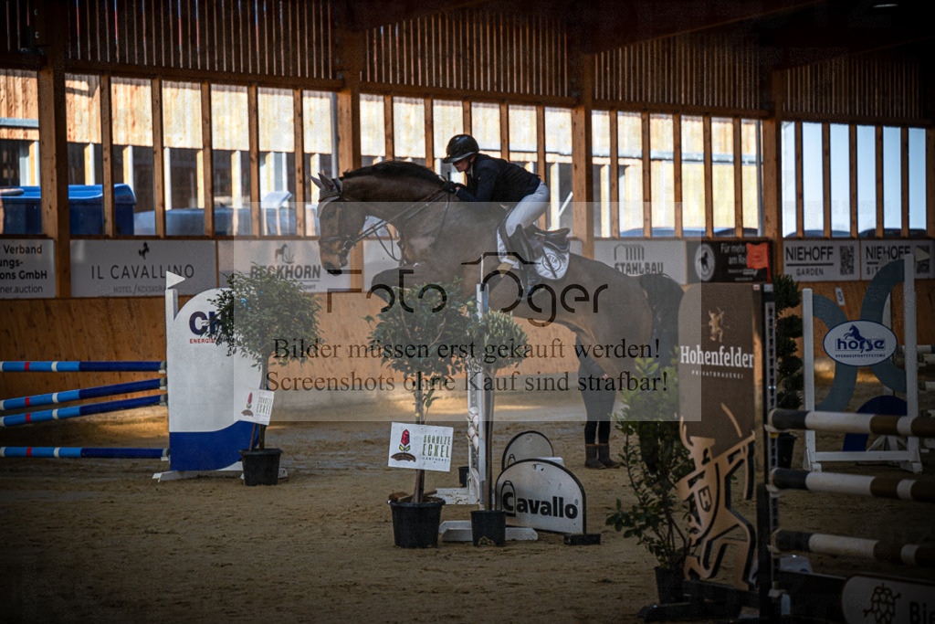 DOS_0189 | Entdecke hochwertige Reitturnierfotos von Foto Oger. Professionell, emotional und authentisch – jetzt Lieblingsmomente im Shop bestellen.Deutschlandweite Turnierfotografie. - Realisiert mit Pictrs.com