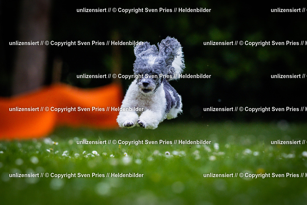 Sven Pries | 2025-05-29 - Pudelrennen KA-Durlach - Realisiert mit Pictrs.com