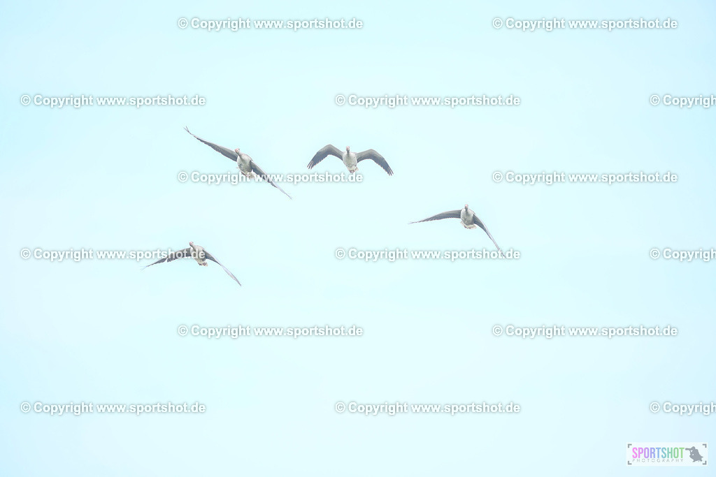 442_TRA57618 | Neusiedlersee Radmarathon 2026@sportshot_your_pictrs #yourpictures#roadtowm2029 #nrm #neusiedlerseeradmarathon #neusiedlersee #neusiedlerseetourismus #burgenland #mörbisch #nrm26 #burgenlandtourismus #voglundco #poweredbyburgenlandtourismus #radsport #rad #marathon #ucigranfondo #visitburgenland #ucigranfondoworldseries