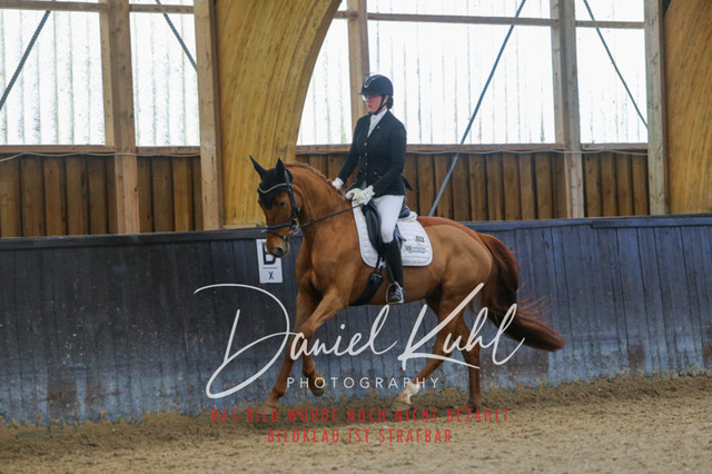 IMG_0618 | Turniersportfotografie; Pferdefotografie; Dressurfotografie