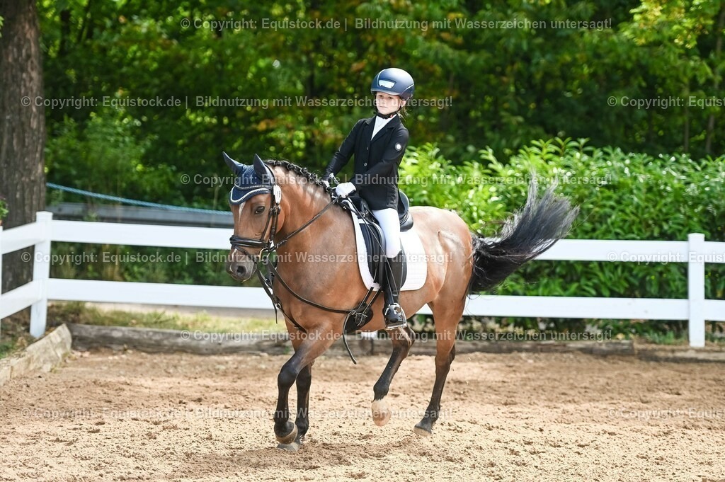 20230716_10-3_Reiter-WB Schritt - Trab - Galopp_0046 | equistock