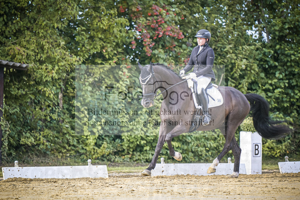 DOS_7920 | Entdecke hochwertige Reitturnierfotos von Foto Oger. Professionell, emotional und authentisch – jetzt Lieblingsmomente im Shop bestellen.Deutschlandweite Turnierfotografie. - Realisiert mit Pictrs.com