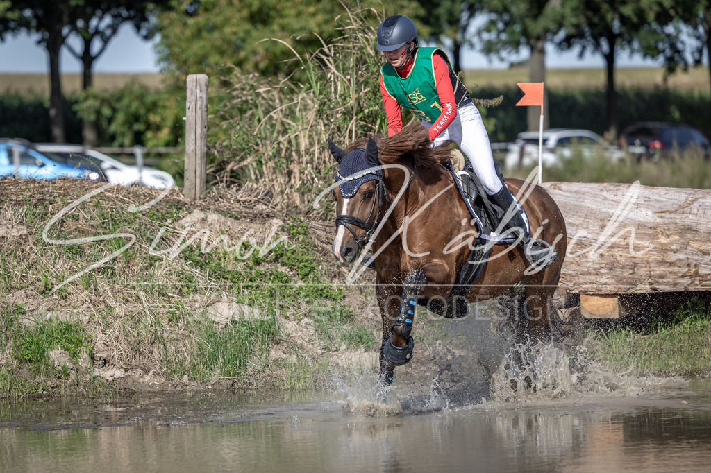 20250907-_3LI3188 | Tierfotografie Pferde, Hunde, Katzen, Haustiere.
Turnierfotografie Reitturniere, Reiten, Springreiten, Dressur in Hanau, dem Main-Kinzig-Kreis und dem Rhein-Main- Gebiet um Frankfurt