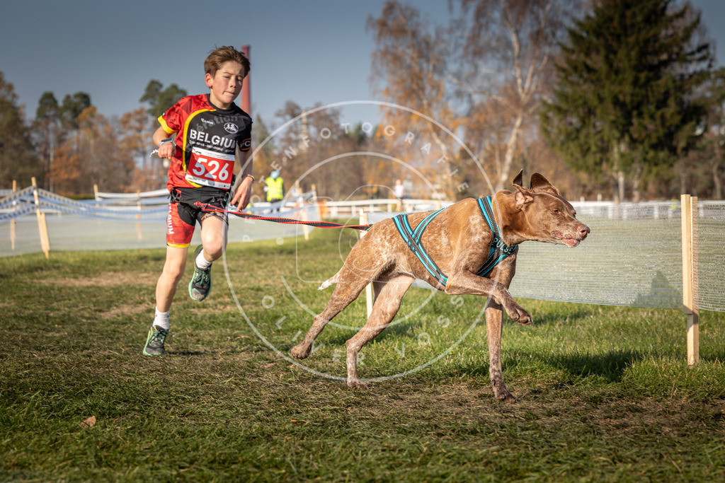 CaniXpix_0L8A8853 | Hundefotografie, Tierfotograf, Pfotenfotografie, Fotoshooting Hund, Hunde Portrait, Hundesport, Hundeportraits, Heideshooting, Hunde, Sportfotograf, Hundefotograf, Turnierhundsport, THS,  - Realisiert mit Pictrs.com