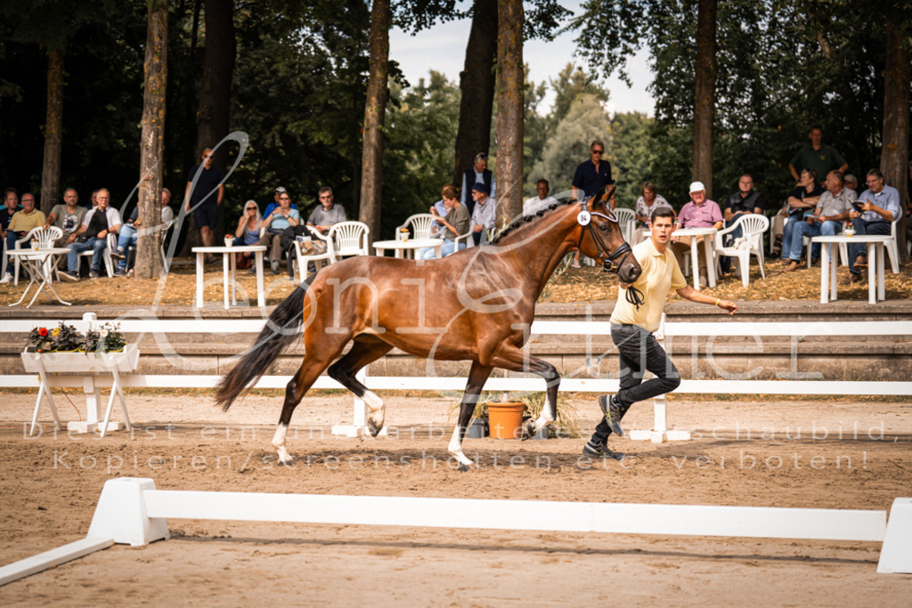 6.Fr00131 | Leoni Ertmer Photography - Realisiert mit Pictrs.com