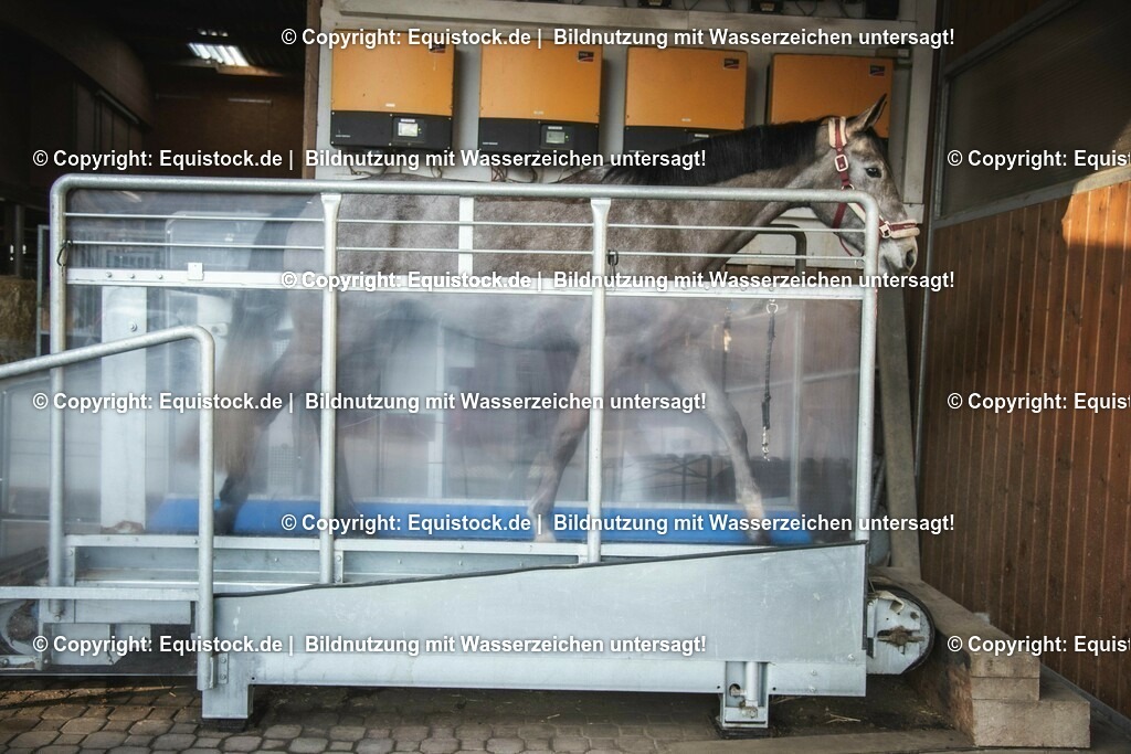 20200118_Laufband_0018 | Foto: Thomas Hartig