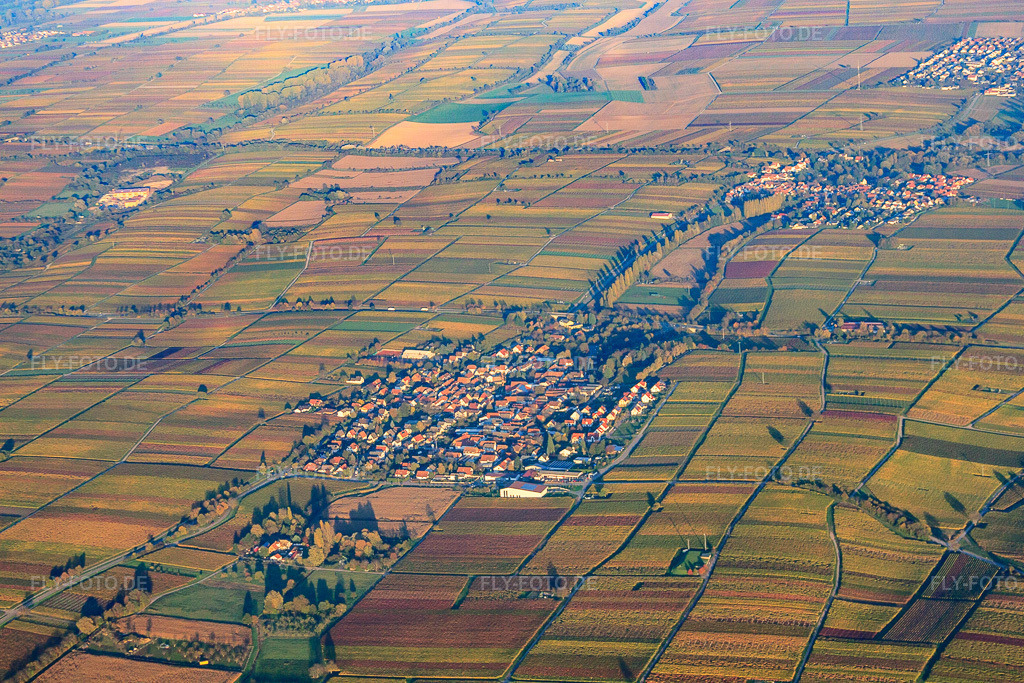 Luftbild: Ortsansicht von Westen in Walsheim im Bundesland Rheinland-Pfalz in Deutschland. Foto: IMG_60769.jpg vom 31.10.2013 durch Werner Riehm/FLY-FOTO.deAuflösung des Originals: 4752 x 3168 px