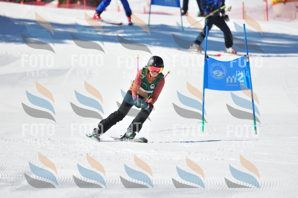 C3984 | holidayphoto