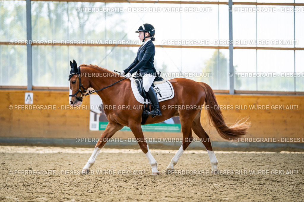 DSC05309 | Pferdegrafie