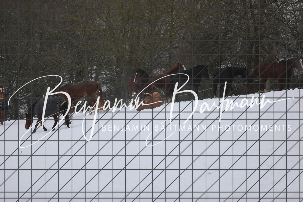 AZ2A3402 | Benjamin Bartmann Photomoments