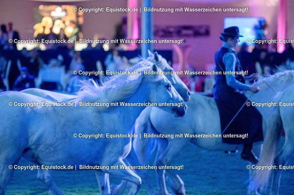 20250606_Lange-Pferdenacht_1055 | Foto: Thomas Hartig