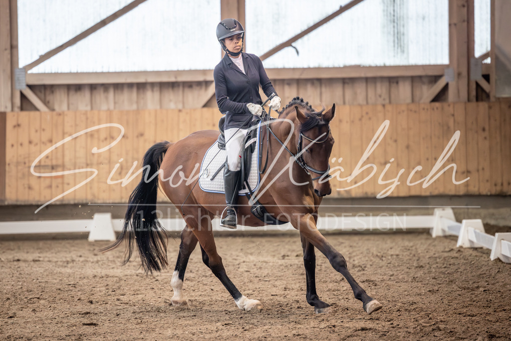 20251011-_3LI0446 | Tierfotografie Pferde, Hunde, Katzen, Haustiere.
Turnierfotografie Reitturniere, Reiten, Springreiten, Dressur in Hanau, dem Main-Kinzig-Kreis und dem Rhein-Main- Gebiet um Frankfurt