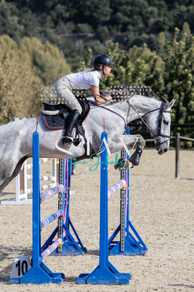 IMG_0636 | s-jay-photography - Realisiert mit Pictrs.com