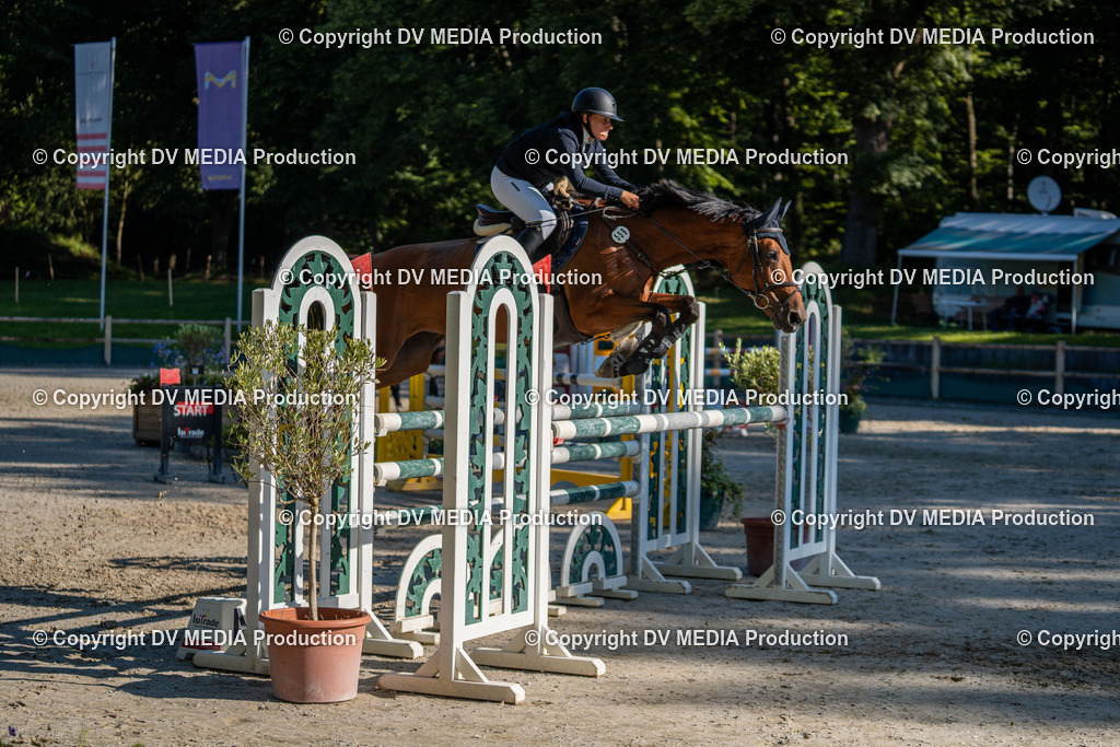 Hessische Tag 1-1841 | dv-media-shop - Realisiert mit Pictrs.com