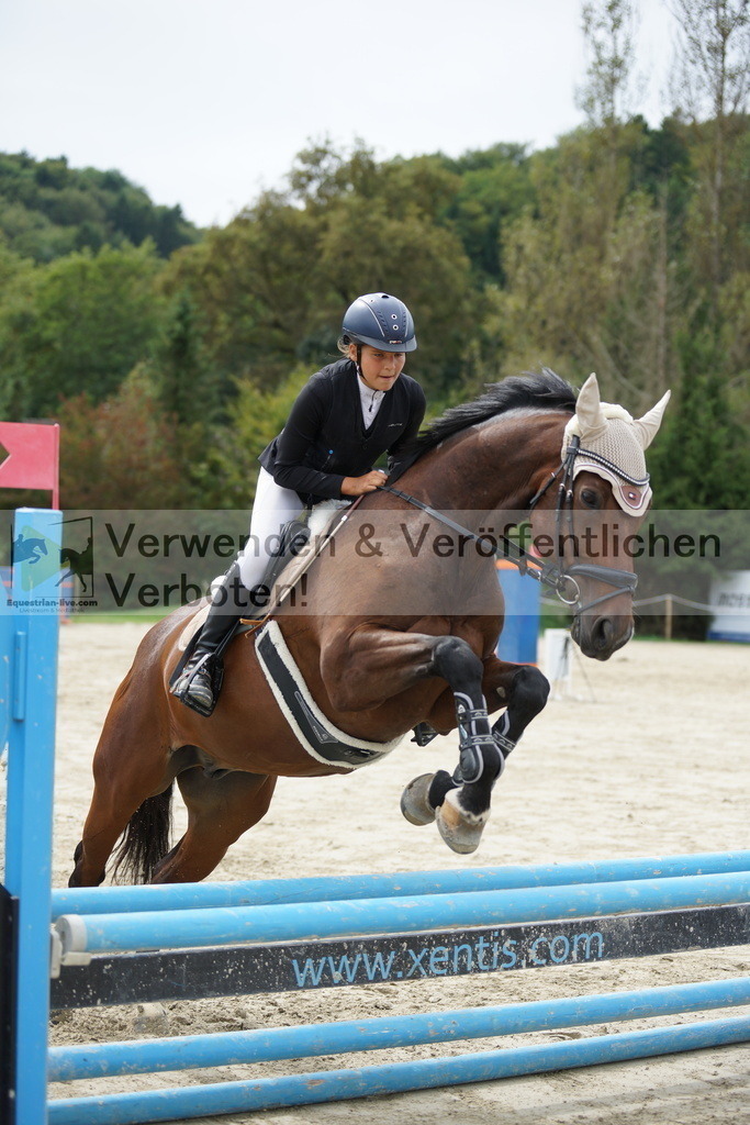 DSC03347 | equestrian-live-com