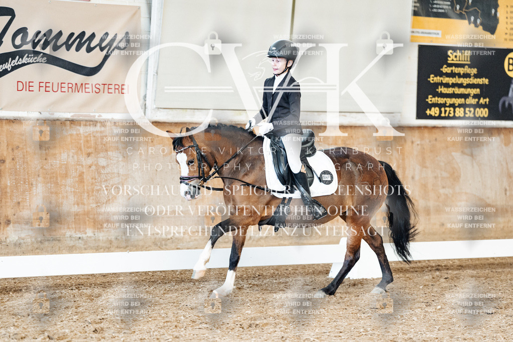CK900562 | Turnierfotografie Pferdefotografie Trier Rheinland-Pfalz Pferdesport Reitsport Tierfotografie Sportfotografie Pferdevideo Pferdevideografie Equestrianvideography equestrianphotography  - Realisiert mit Pictrs.com