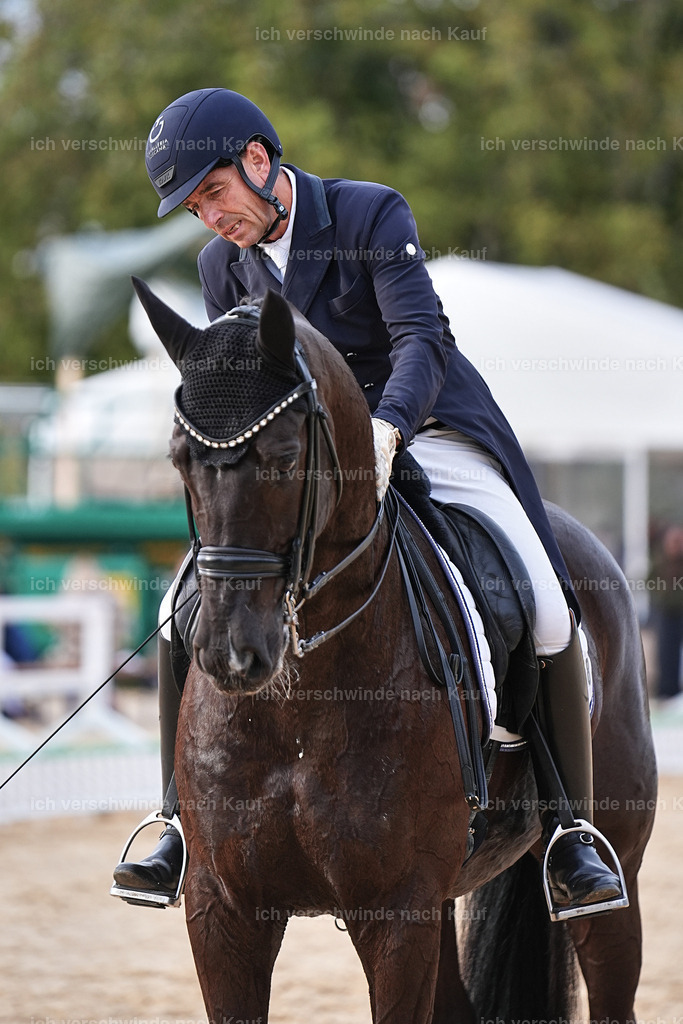 13-058-S___ -Marixx-7078 | working equitationturnier fotograf videograf stoibphotography marixx film working equitation deutschland reitsport turnierfotografie eventfotografie equestrian events