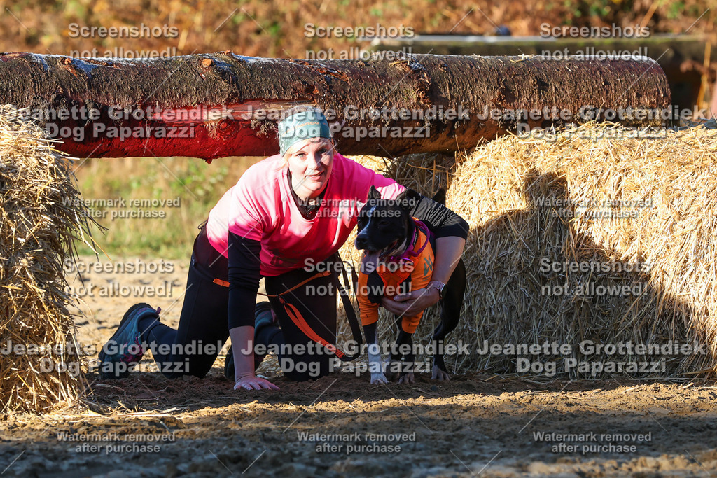 Dog Paparazzi - Strongdog 10-25-855 | Dog Paparazzi Jeanette Grottendiek Fotografie & Videografie - Realisiert mit Pictrs.com