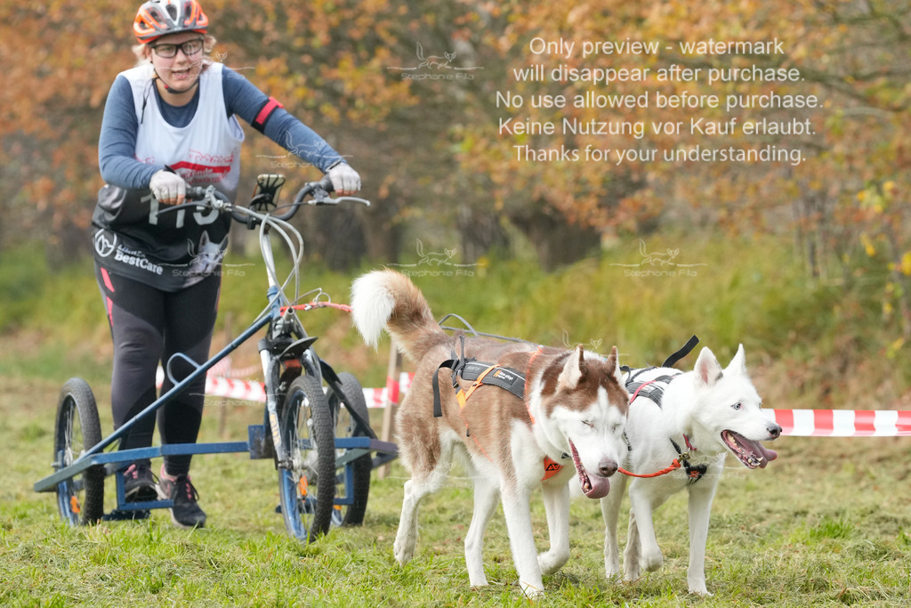 AusschnitteSa-212 | stephaniefillaphotographie - Realisiert mit Pictrs.com