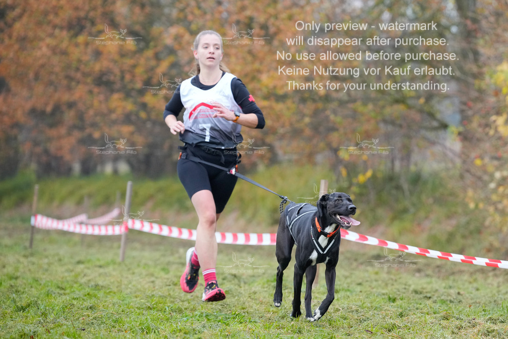 Visbeck_Sa_CC-109 | stephaniefillaphotographie - Realisiert mit Pictrs.com