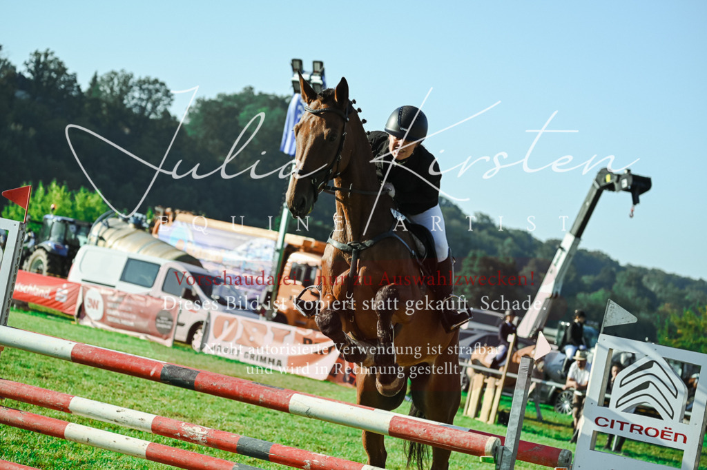 DSC_4534 | Pferde- und Turnierfotografie in Westsachsen. Pferdeportraits, Auftragszeichnungen und intuitive Kunst.