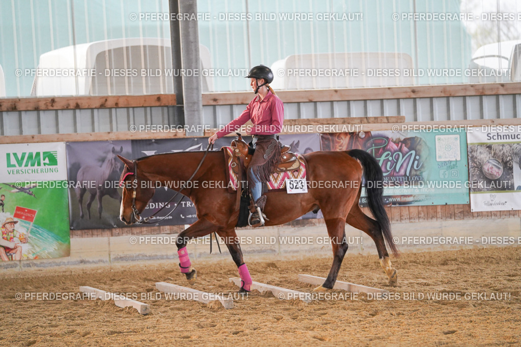 DSC08865 | Pferdegrafie