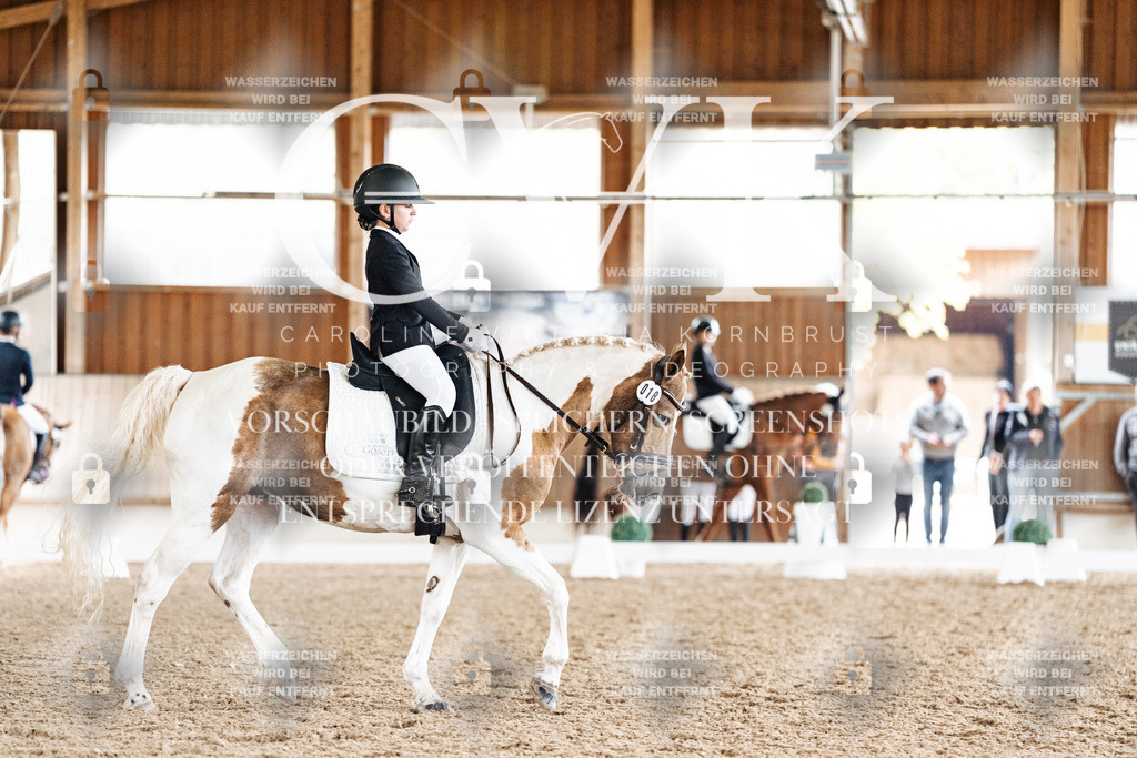 CK900514 | Turnierfotografie Pferdefotografie Trier Rheinland-Pfalz Pferdesport Reitsport Tierfotografie Sportfotografie Pferdevideo Pferdevideografie Equestrianvideography equestrianphotography  - Realisiert mit Pictrs.com