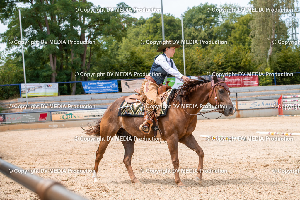 EWP_6388 | dv-media-shop - Realisiert mit Pictrs.com