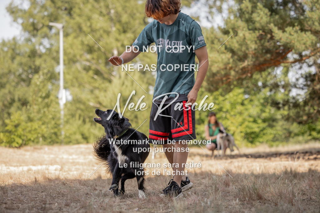 nelerasche_soDD2_335 | nelerasche