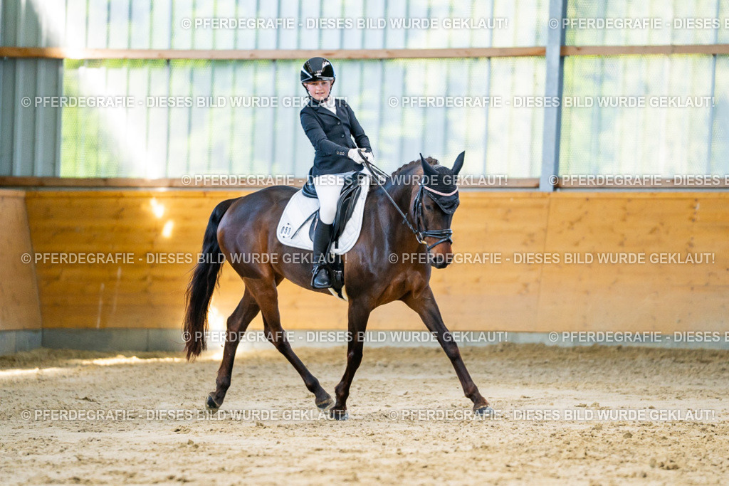 DSC06308 | Pferdegrafie