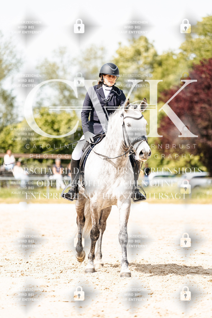 CK901634 | Turnierfotografie Pferdefotografie Trier Rheinland-Pfalz Pferdesport Reitsport Tierfotografie Sportfotografie Pferdevideo Pferdevideografie Equestrianvideography equestrianphotography  - Realisiert mit Pictrs.com
