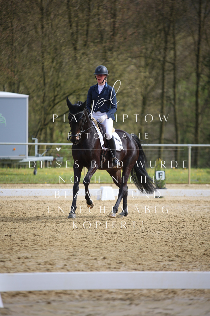 IMGT6322 | pl-fotografie