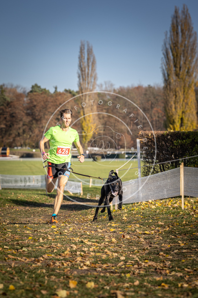 CaniXpix_DV3A0010 | Hundefotografie, Tierfotograf, Pfotenfotografie, Fotoshooting Hund, Hunde Portrait, Hundesport, Hundeportraits, Heideshooting, Hunde, Sportfotograf, Hundefotograf, Turnierhundsport, THS,  - Realisiert mit Pictrs.com
