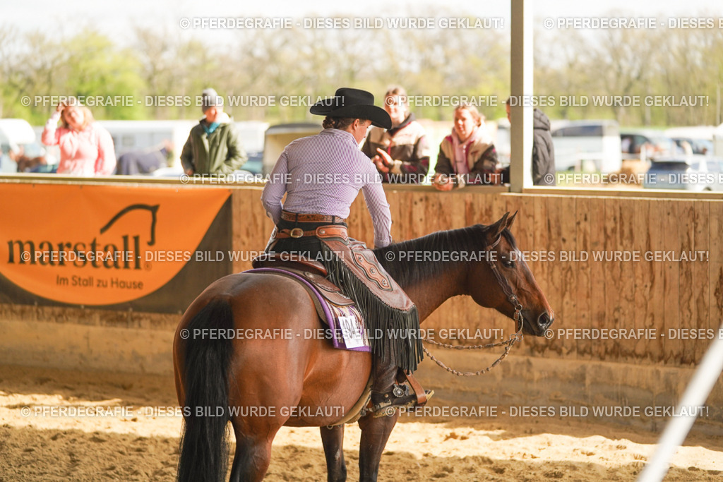 DSC02083 | Pferdegrafie