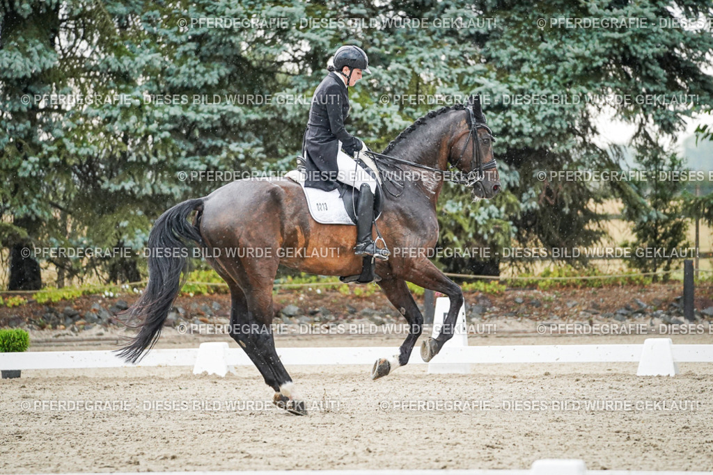 DSC08217 | Pferdegrafie