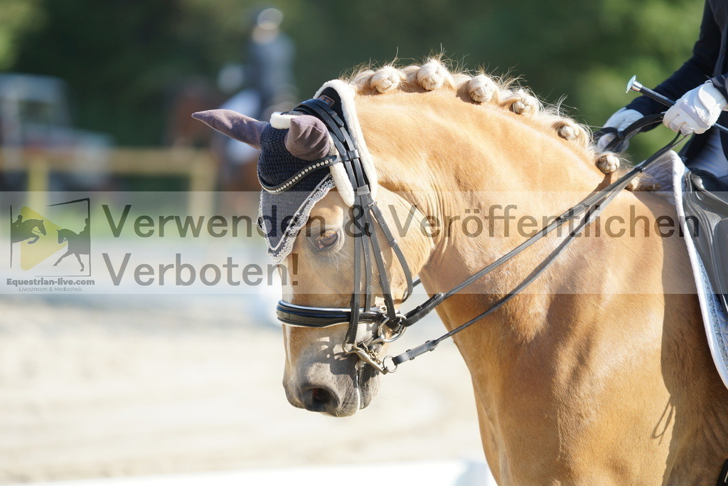 DSC02627 | equestrian-live-com