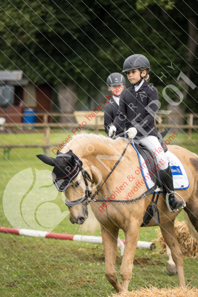 IMG_1613 | Sport-, Event- und Tierfotos in Profiqualität. Einfach auswählen, bestellen und herunterladen. Dein Moment – perfekt festgehalten.