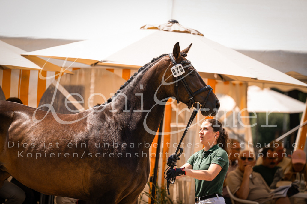 1.Fr00096 | Leoni Ertmer Photography - Realisiert mit Pictrs.com